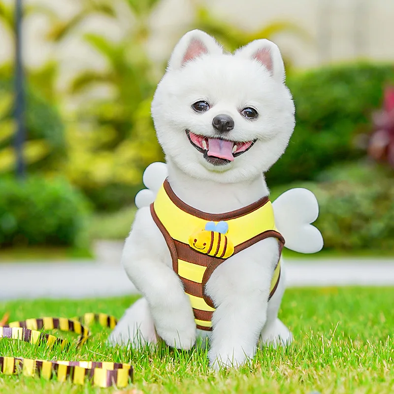 Perro pequeño con arnés floral