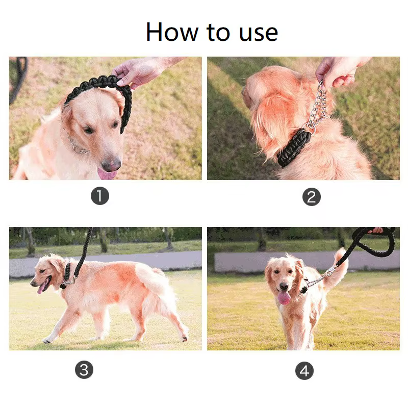 Set correa y collar trenzados para perros - imagen 4