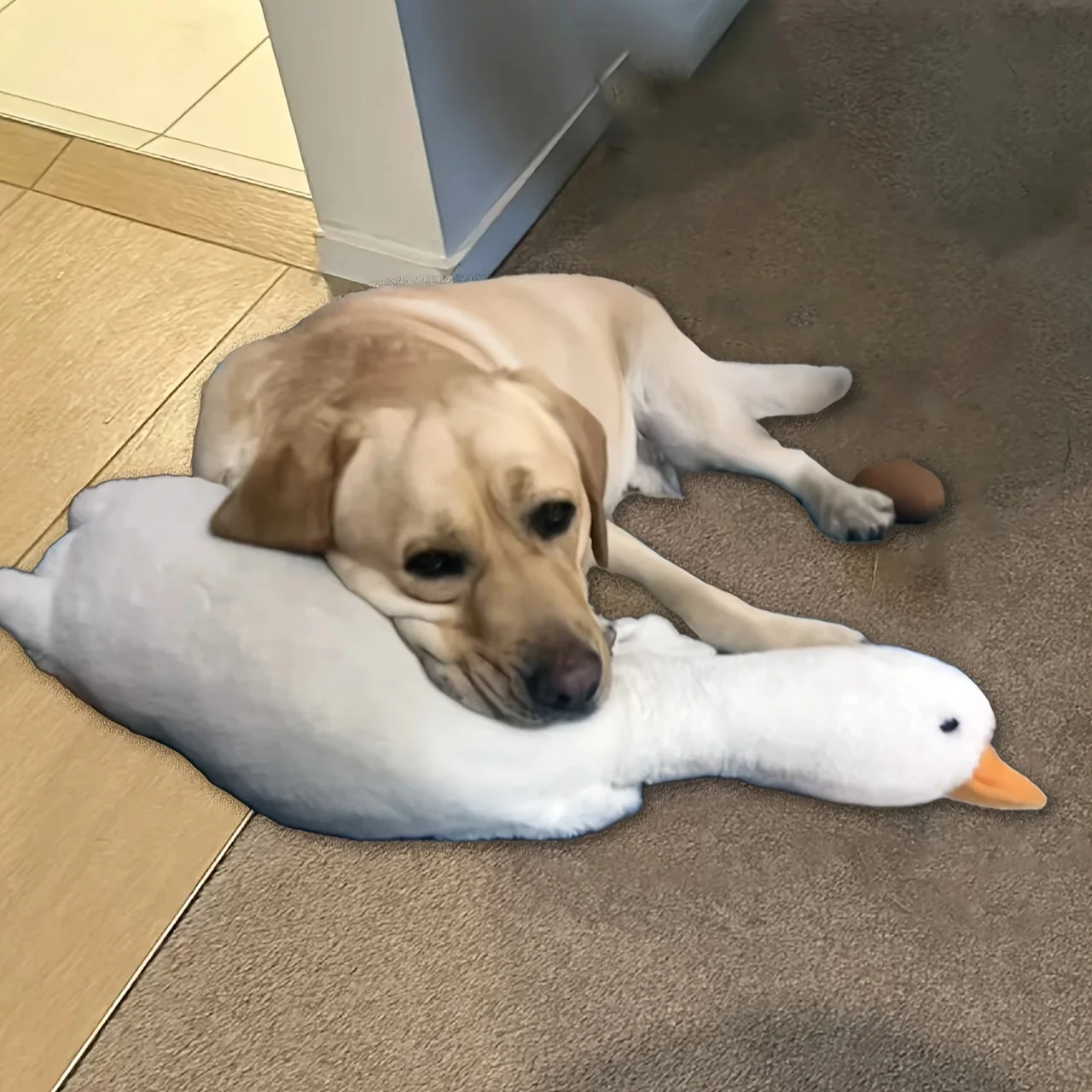 Pato de peluche junto a otros juguetes para perros