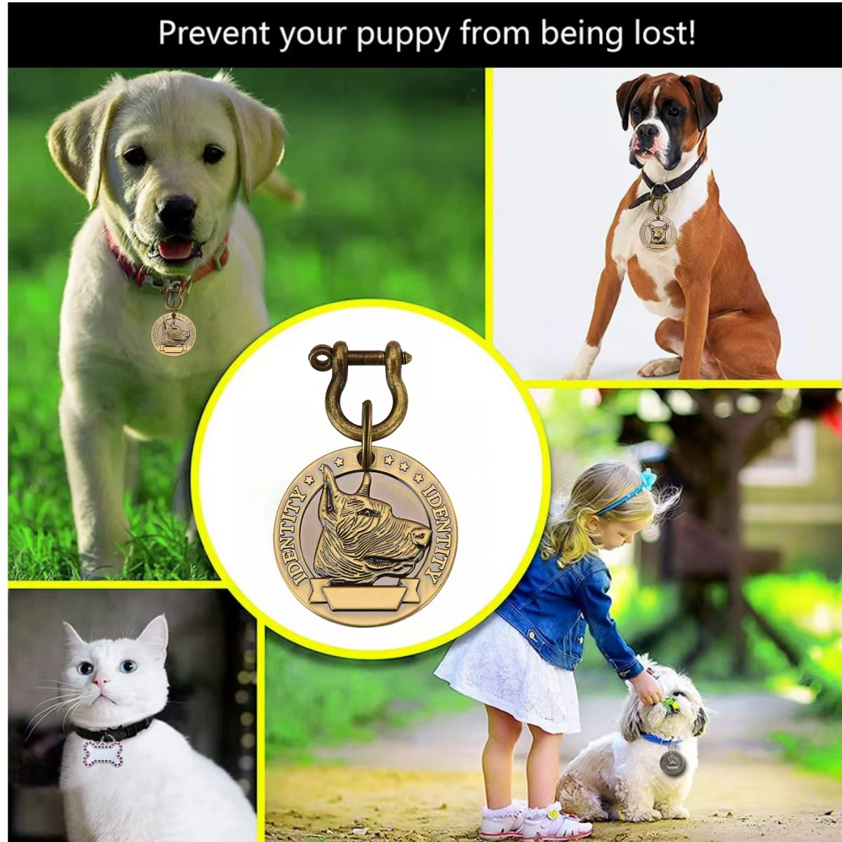 Placa identificación grabada para perros y gatos de bronce, con nombre - imagen 4