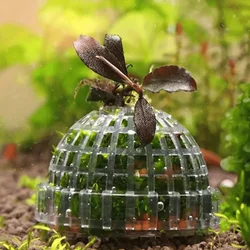 Bola de musgo para acuario - Biofiltro natural para peces