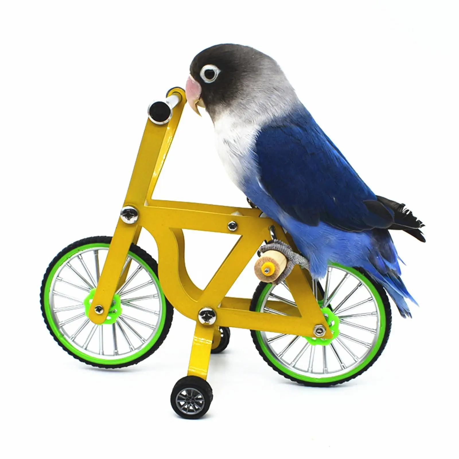 Bicicleta para entrenamiento de aves