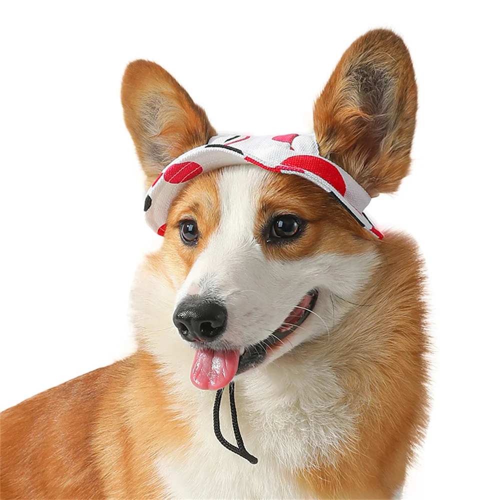 Detalle del ajuste de la gorra para mascota