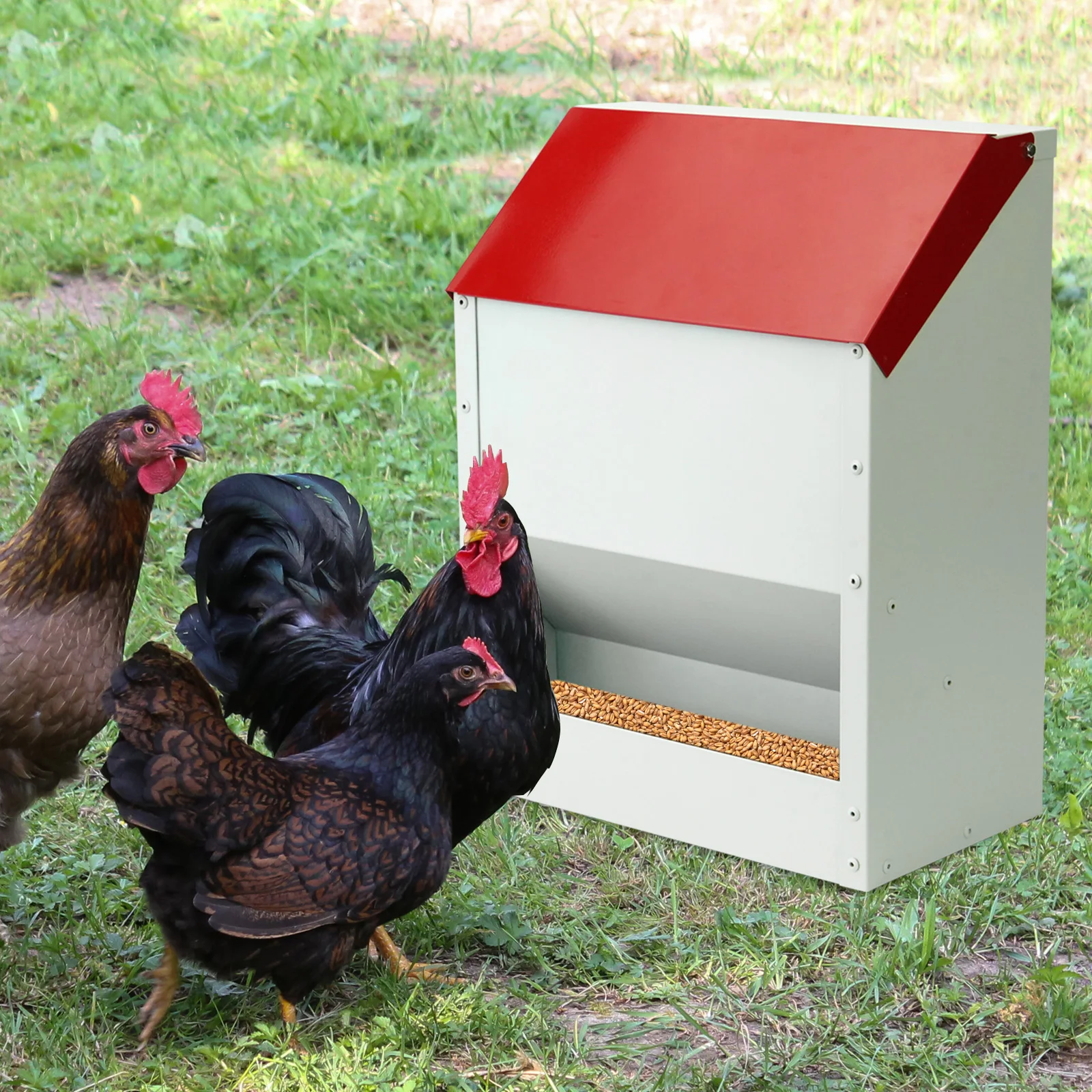 Comedero para Pollos Acero Galvanizado 22L con Tapa Abatible Antidesperdicio