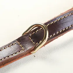Collar de cuero genuino para perros medianos y grandes – Ajustable y resistente