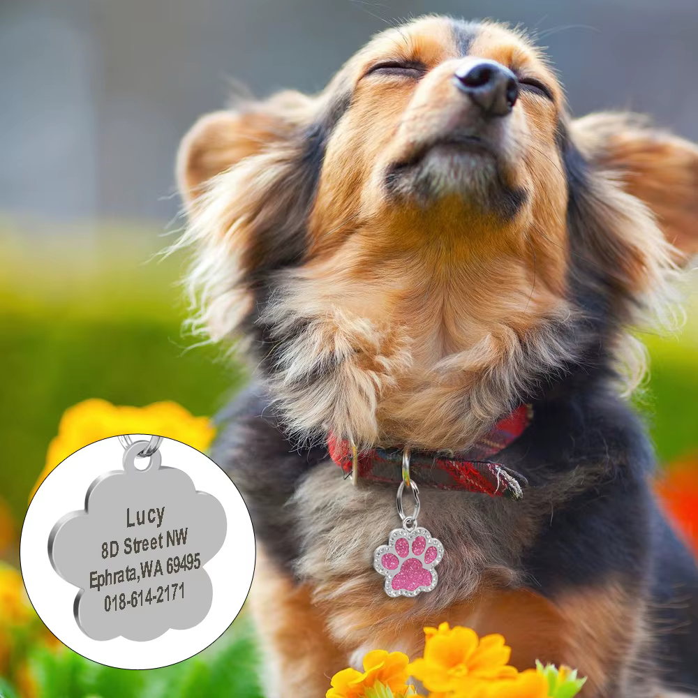 Colgante medalla identificativa con huella para perros y gatos - imagen 5