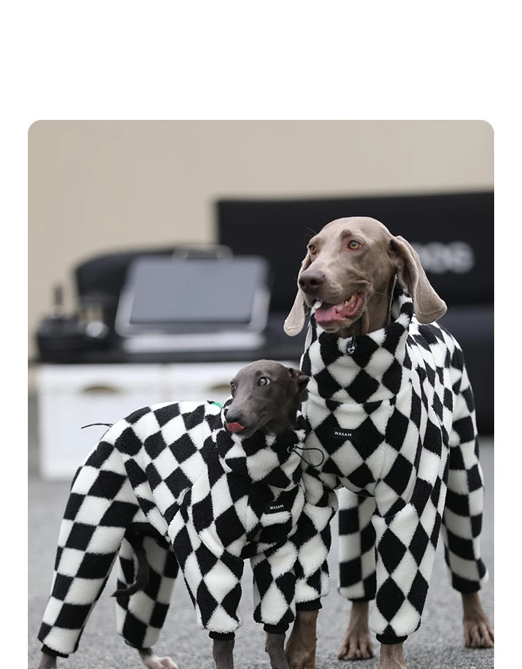 Perro razas grandes con mono térmico