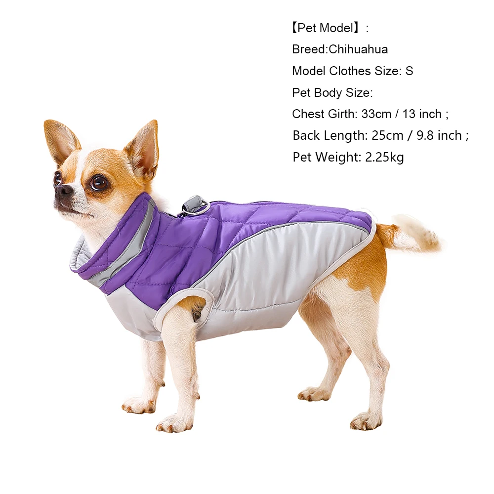 Perro con chaqueta Holapet