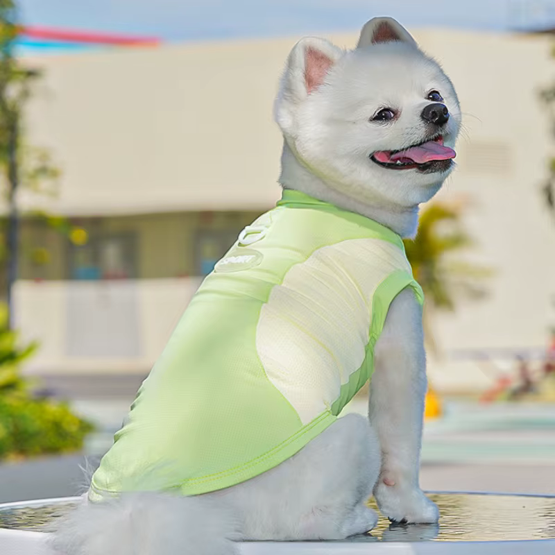 Chaleco de malla para perro Bichón y gato – Ropa fresca - imagen 2