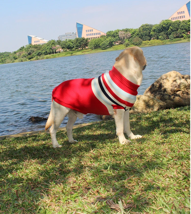 Versión frontal del suéter