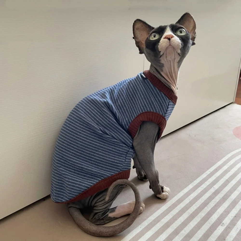 Ropa de descanso para gatos sin pelo
