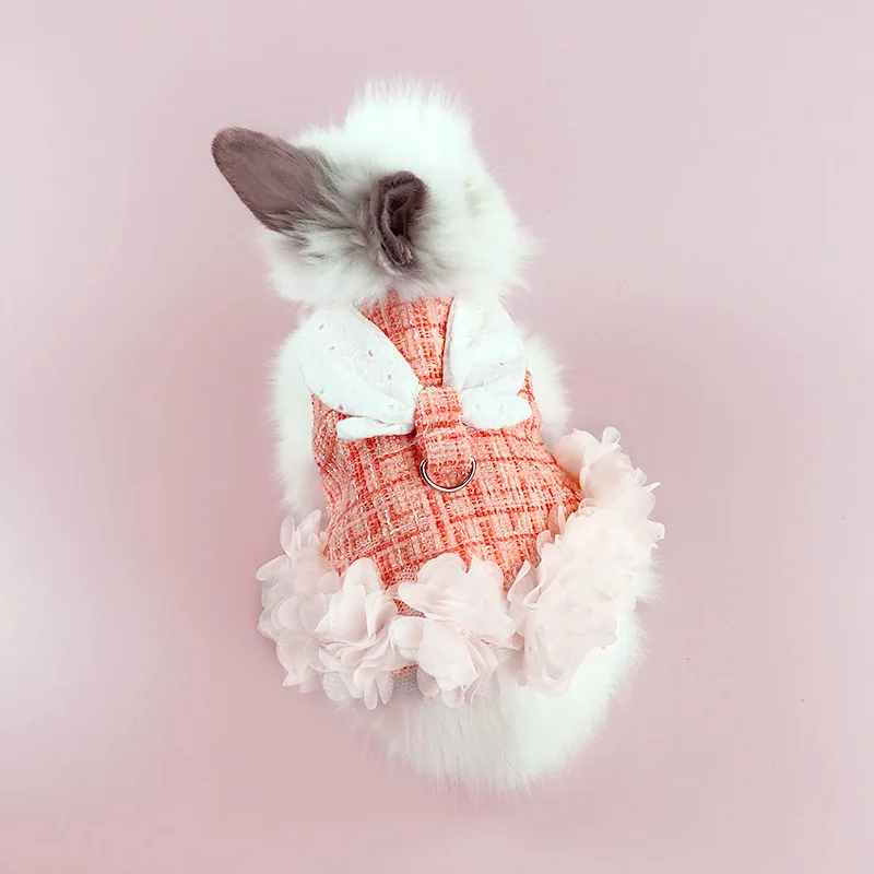 Pet owner adjusting harness on rabbit