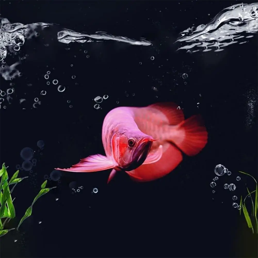 Bolas bioquímicas filtrantes para acuario: material para filtros - imagen 5