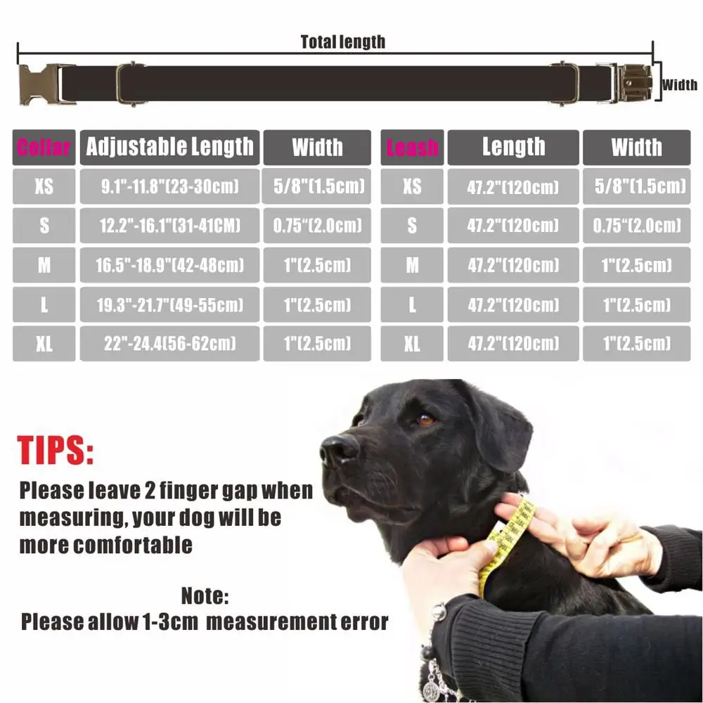 Guía de tallas para collares de perro