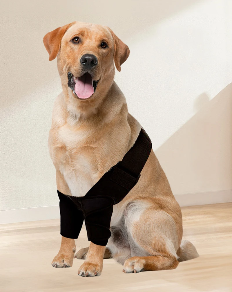 Rodilleras ajustables para perros grandes