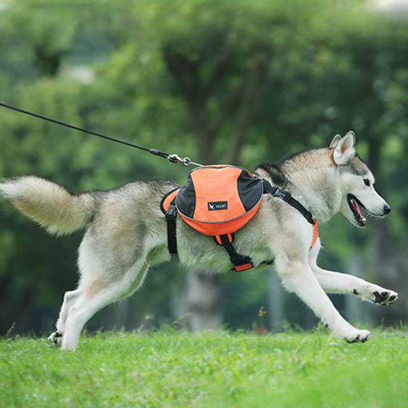 Mochila Transportadora para Perros Grandes con Arnés Integrado - imagen 2