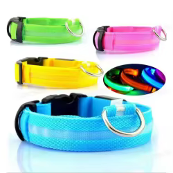Collar LED luminoso para perros y gatos con luz nocturna USB