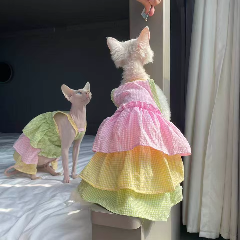 Ropa de verano para gatos Sphynx y Devon Rex: vestido algodón - imagen 2