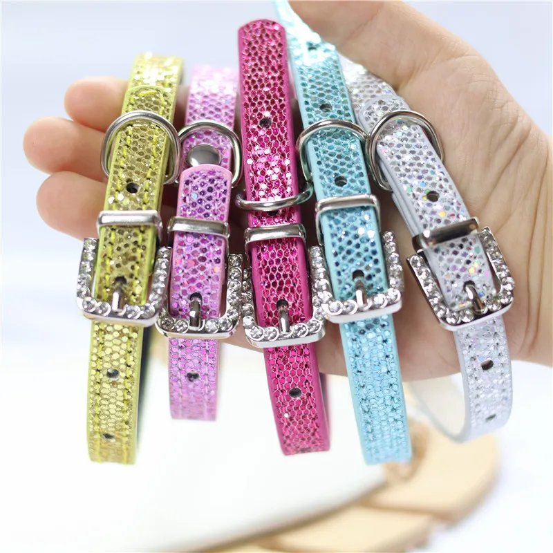 Collar mostrado en uso con mascota