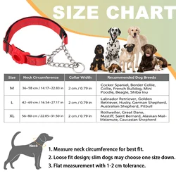 Collar perro con soporte AirTag antirroces acolchado y reflectante