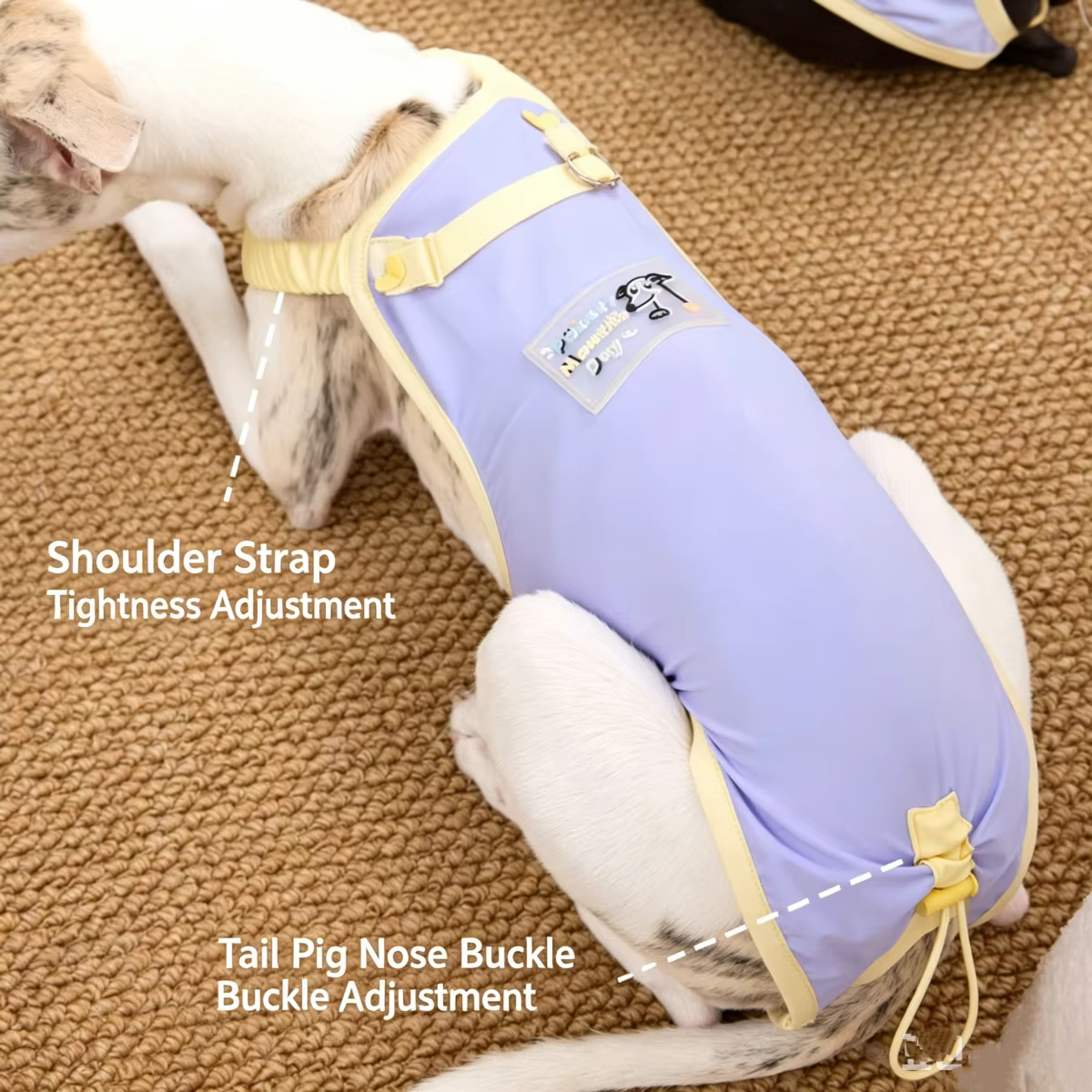 Chaleco refrescante UPF50+ para galgo italiano – tejido antibacteriano - imagen 5