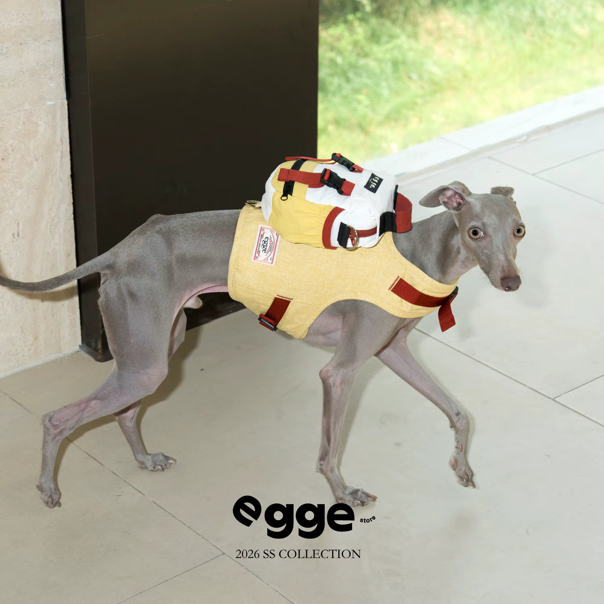 Arnés con mochila para perros pequeños como Galgo Italiano - imagen 5