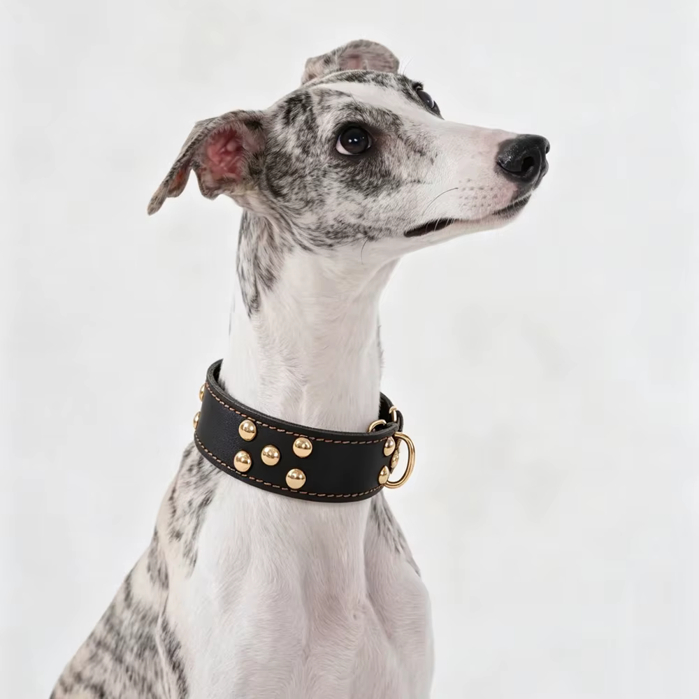 Collar cuero ajustable con tachuelas para perros pequeños y medianos - imagen 5