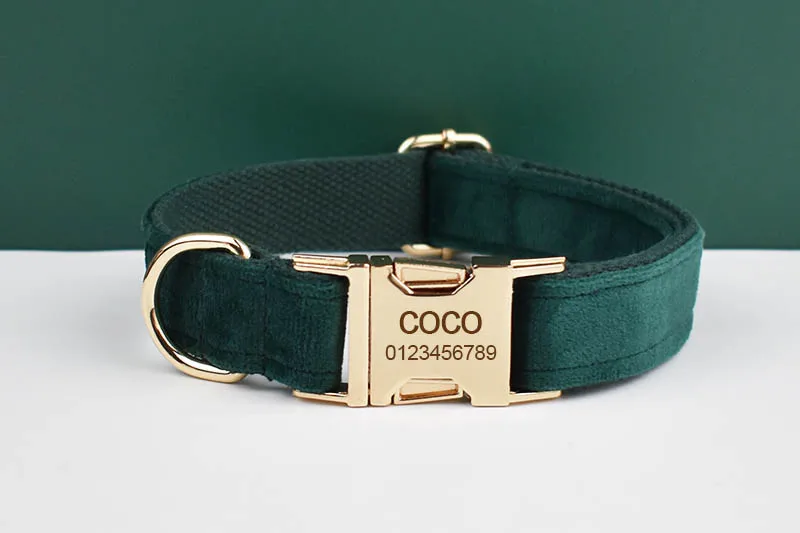Conjunto en acción