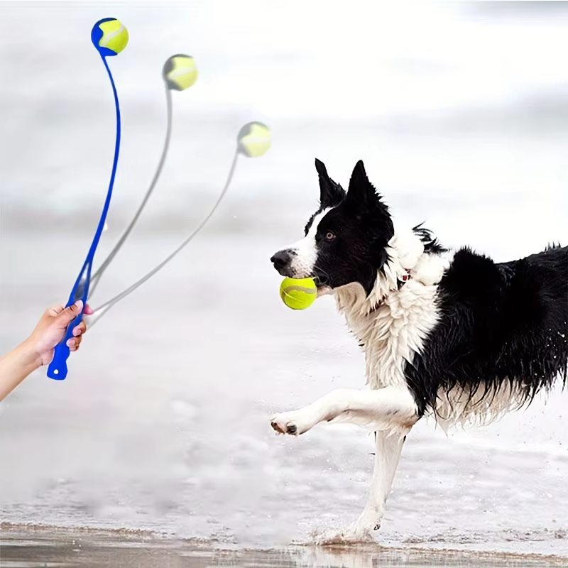 Palo lanzador de pelotas para perros y gatos – Juguete interactivo - imagen 5