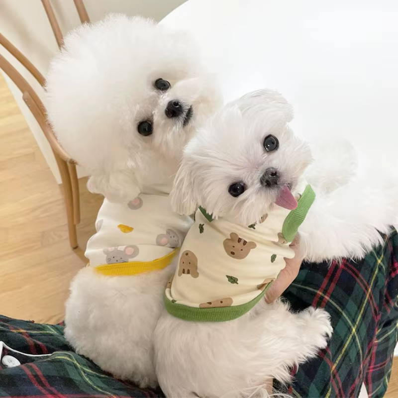 Chaleco de verano estampado para perros y gatos pequeños