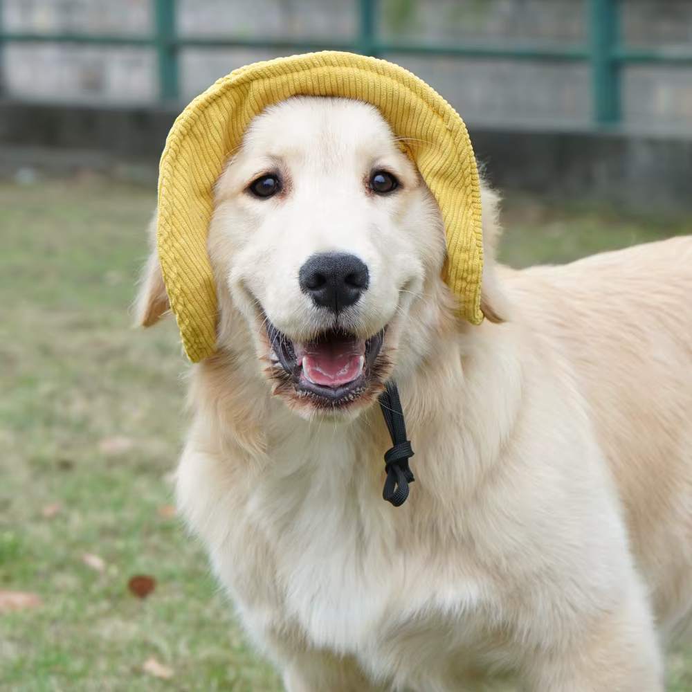 Sombrero solar veraniego para perros pequeños – Gorro de pana - imagen 3