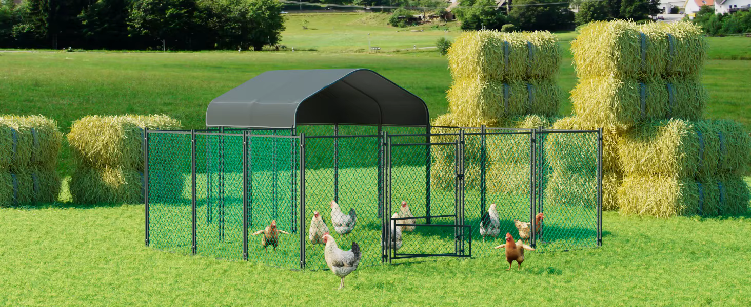 Vista general del corral para aves