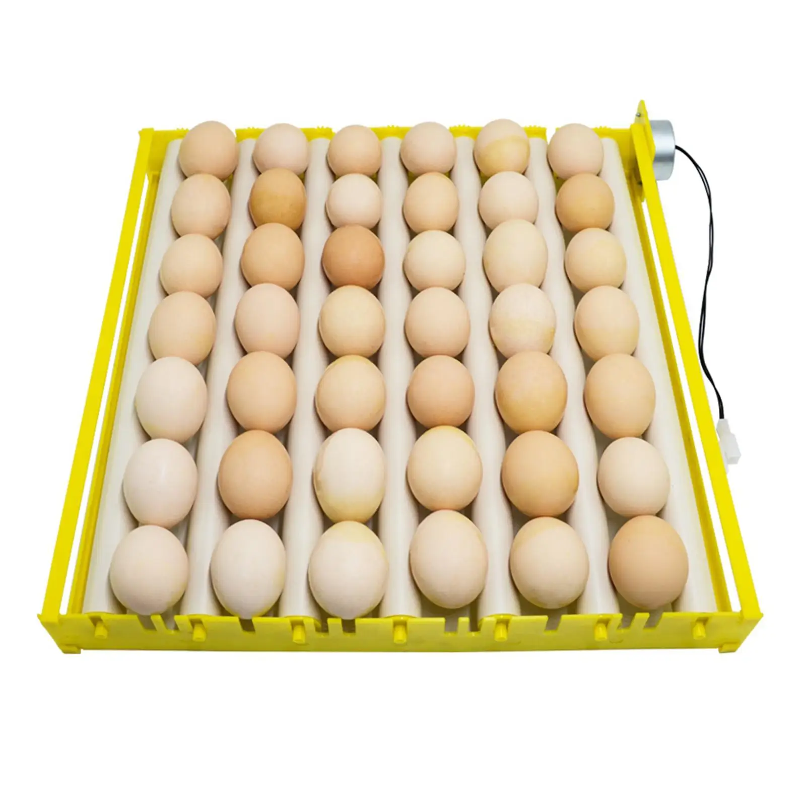 Bandeja amarilla con tubos para volteo automático de huevos