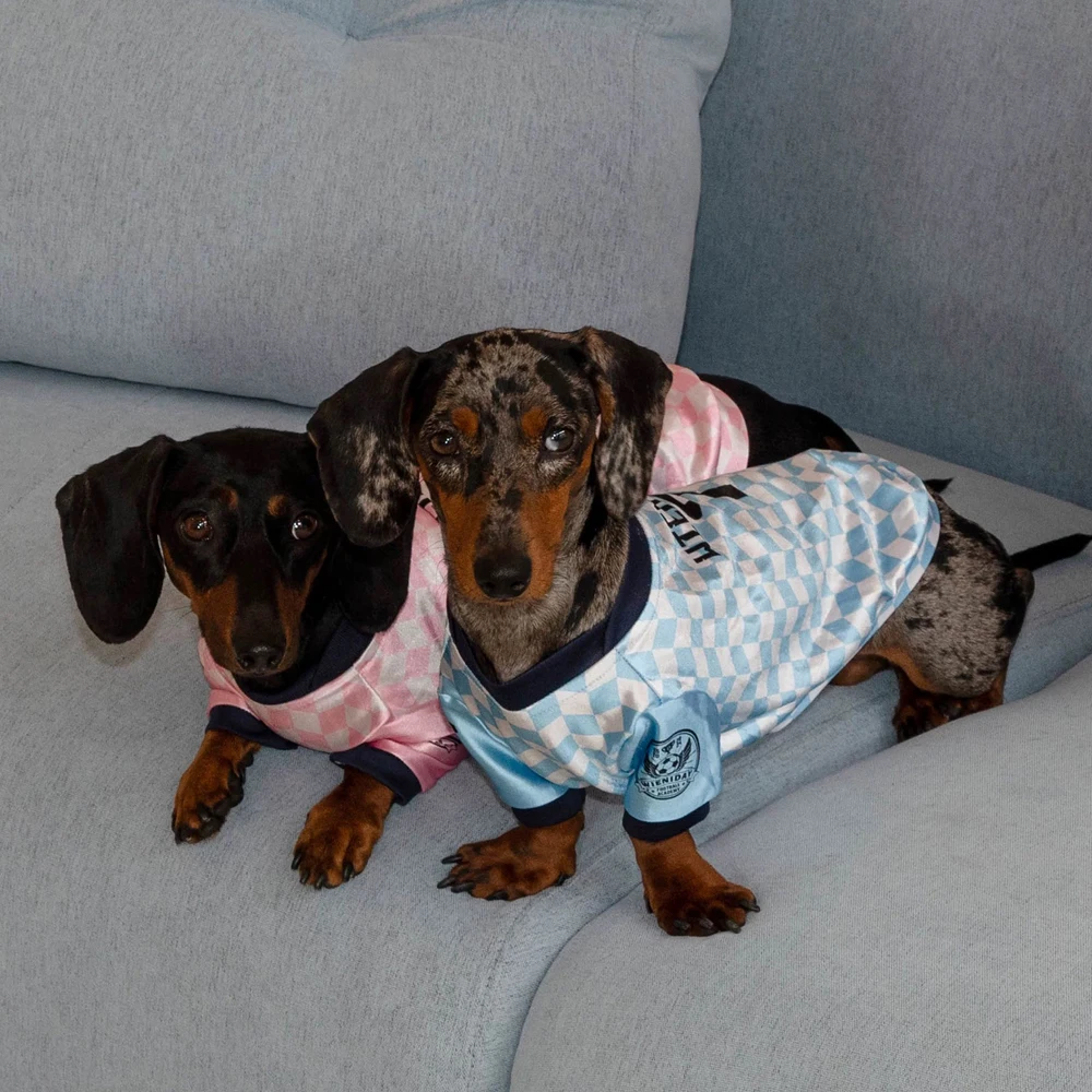 Chaleco transpirable refrescante para perros salchicha Dachshund