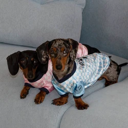 Chaleco transpirable refrescante para perros salchicha Dachshund