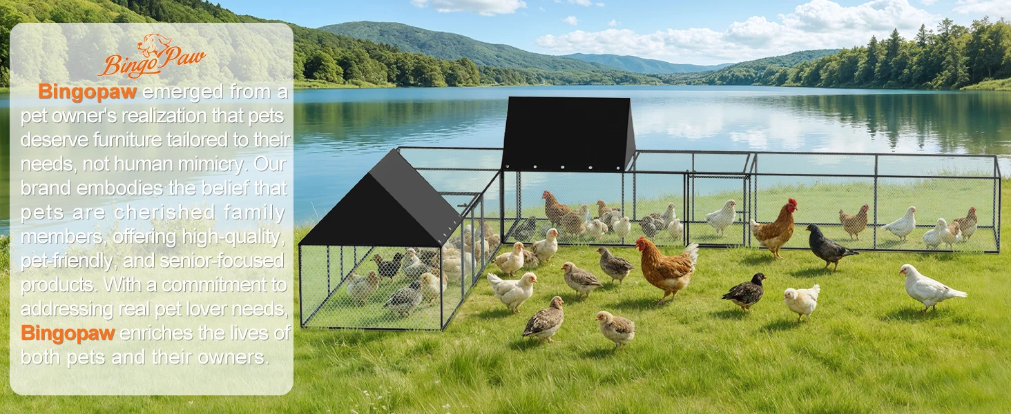Gallinero exterior con doble puerta y estructura metálica