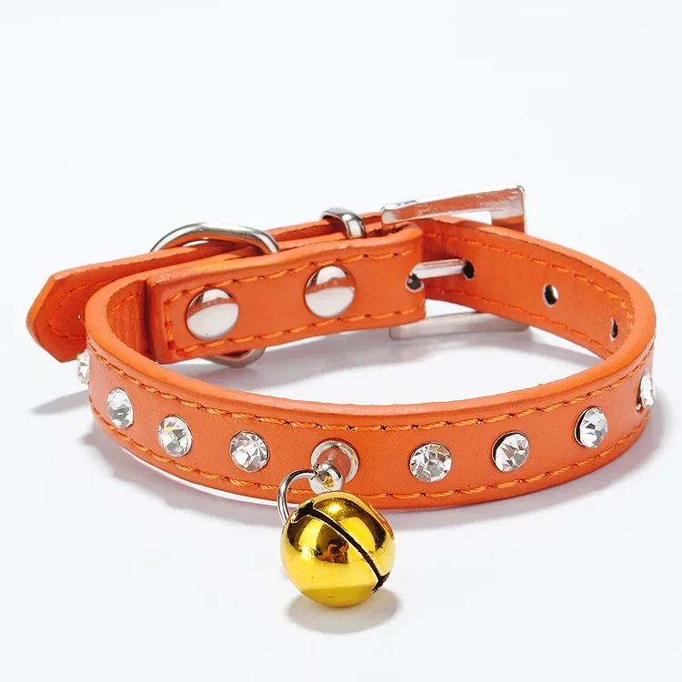Mascota con el collar puesto