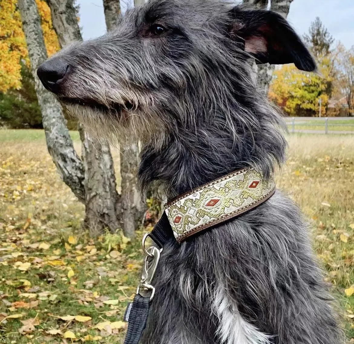 Guía de medidas del collar