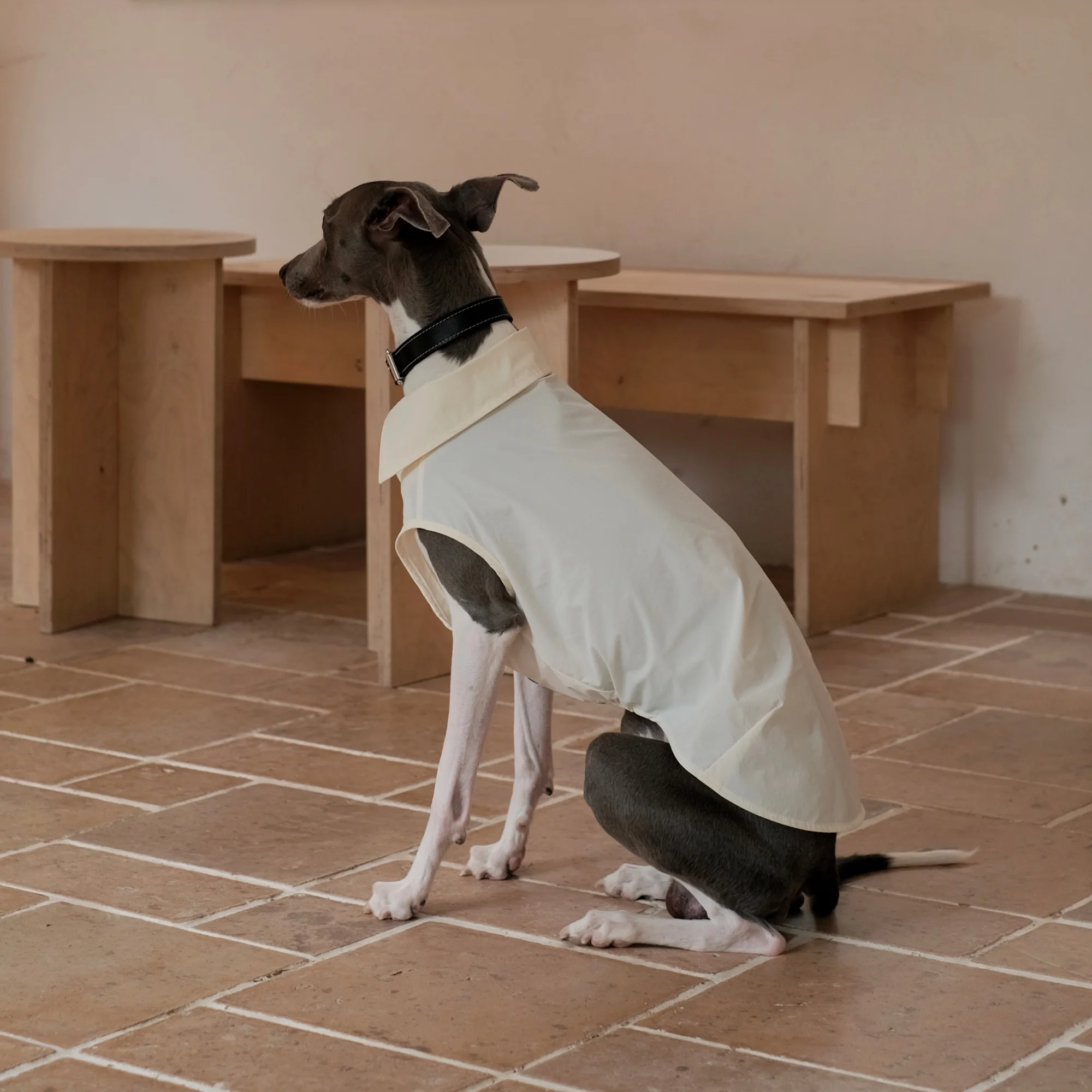 Camiseta solar UPF100 con botones para galgos italianos y whippets - imagen 4