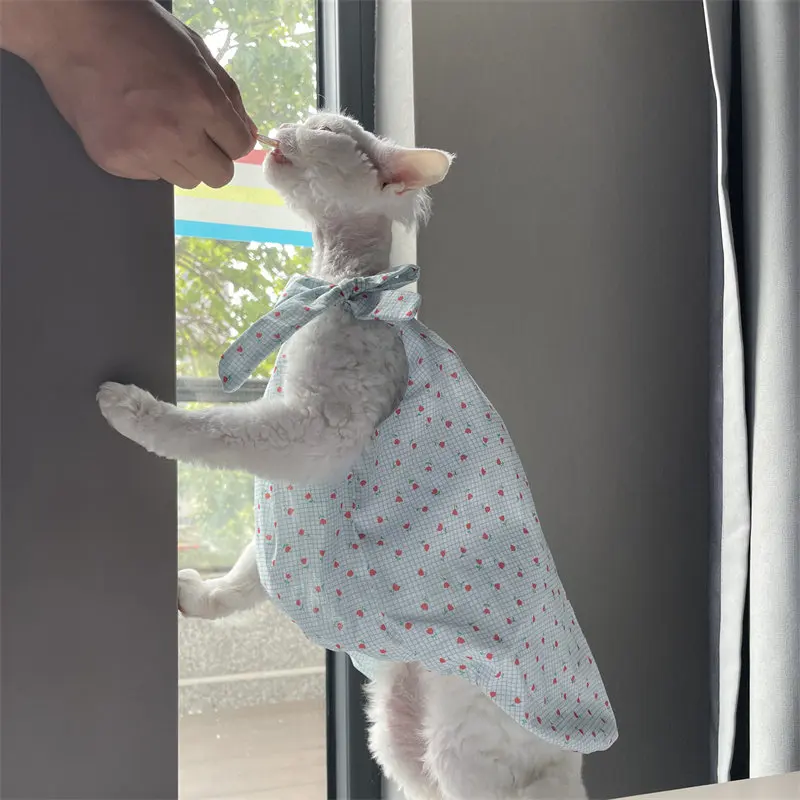 Ropa de verano para gatos Sphynx: vestido de algodón azul claro - imagen 2