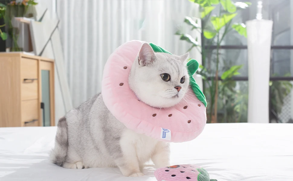 Collar de recuperación de fresa para gato mostrando su textura suave y diseño atractivo