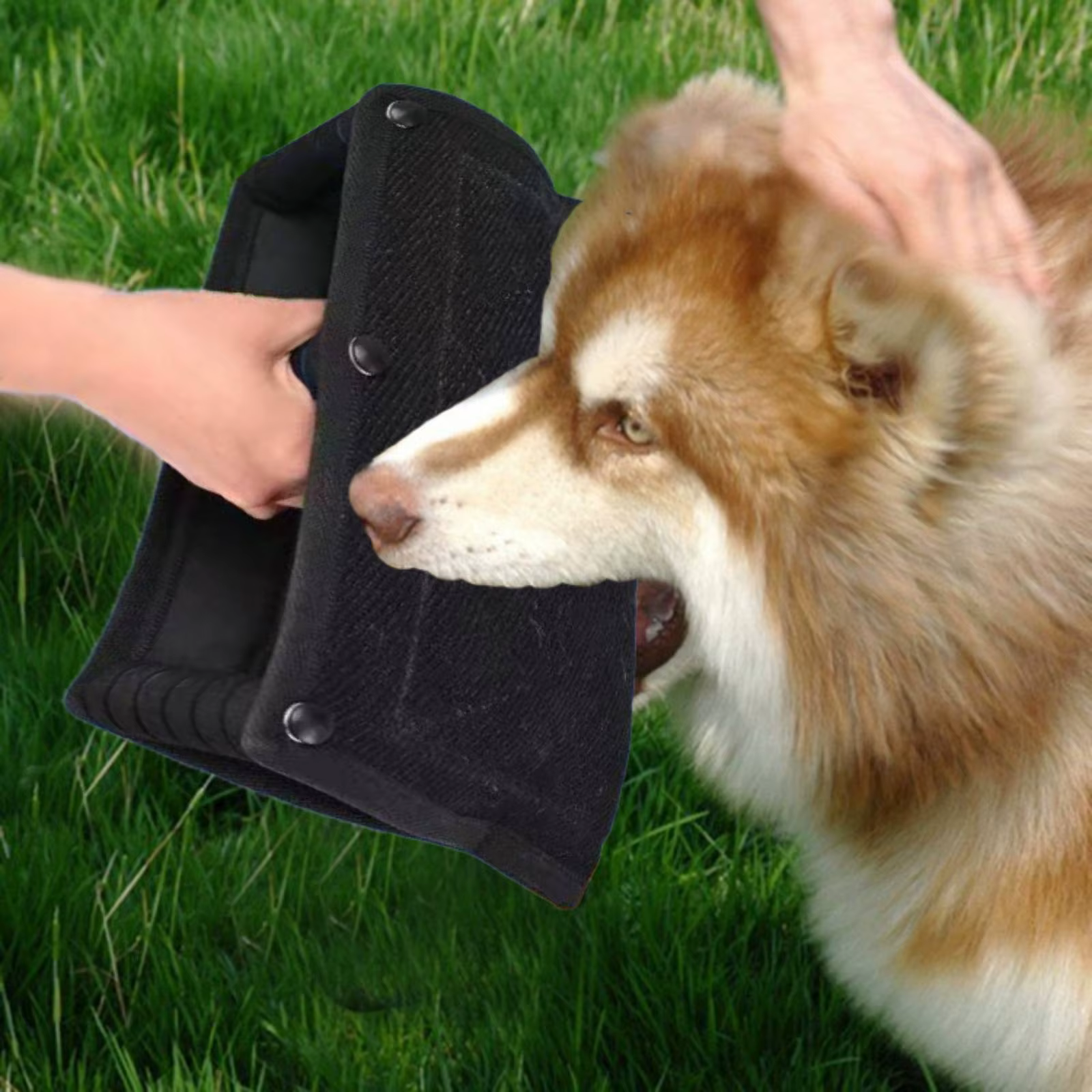 Juguete mordedor resistente para perros – Almohada acogedora - imagen 3