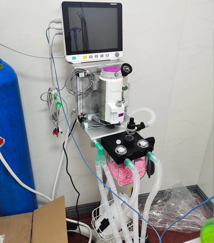 Conexiones y flujo de gases