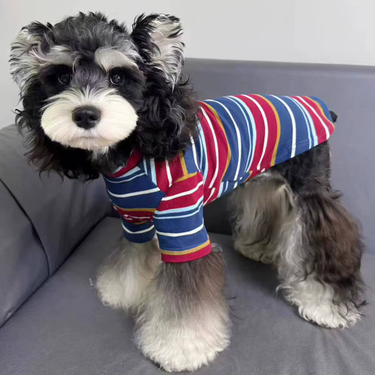 Camiseta algodón rayas para perro pequeño y gato - Ropa de verano - imagen 2