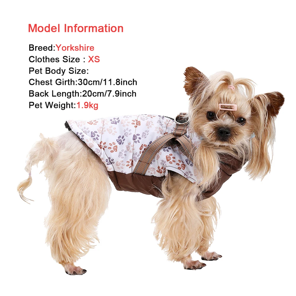 Chaqueta Holapet azul marino en perro pequeño