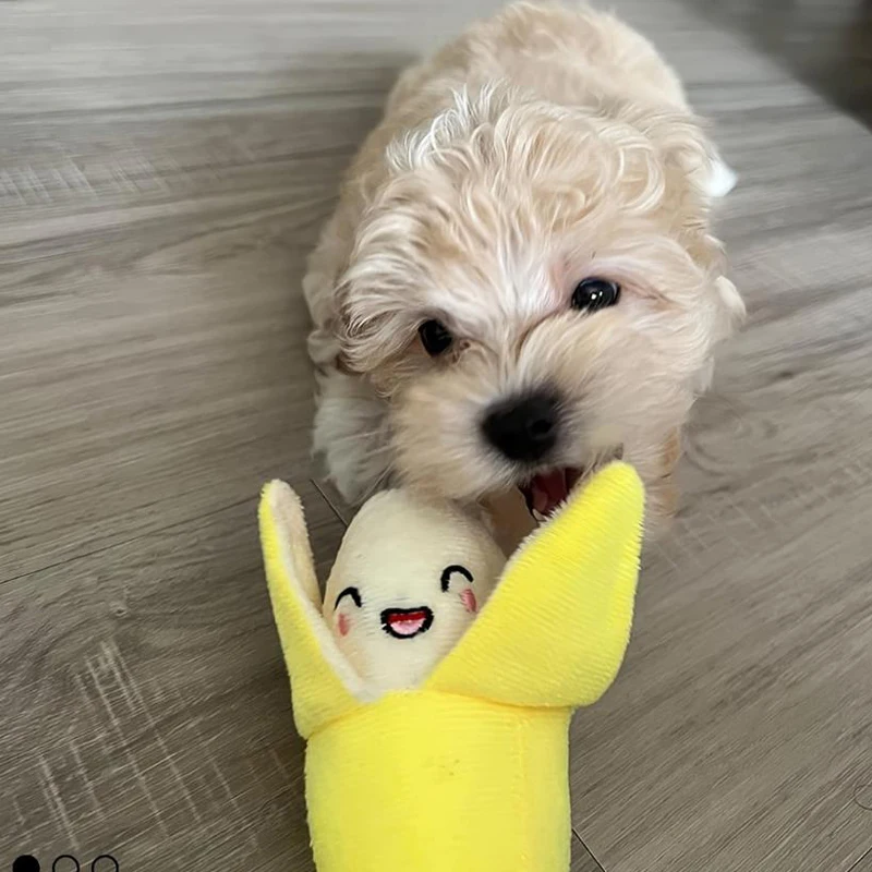 Juguete con voz para perro