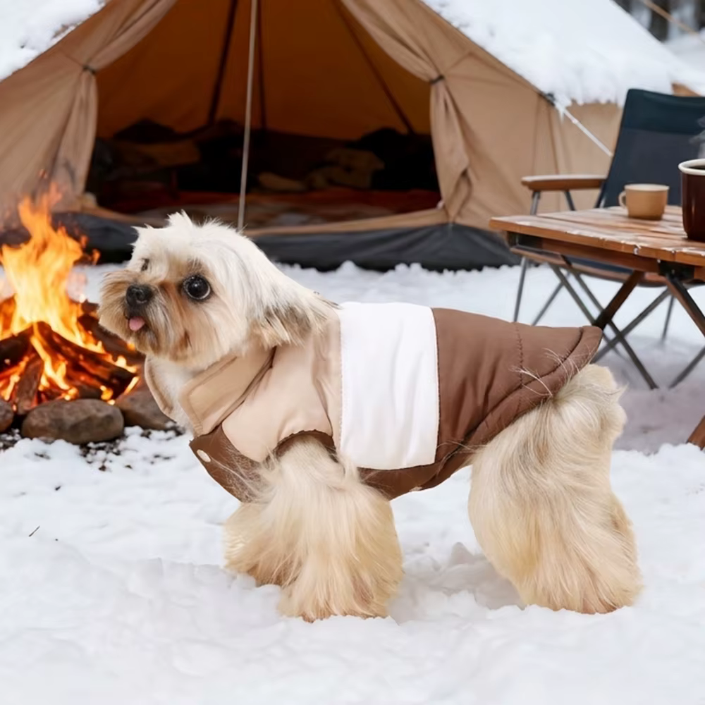 Abrigo acolchado de invierno para perros pequeños