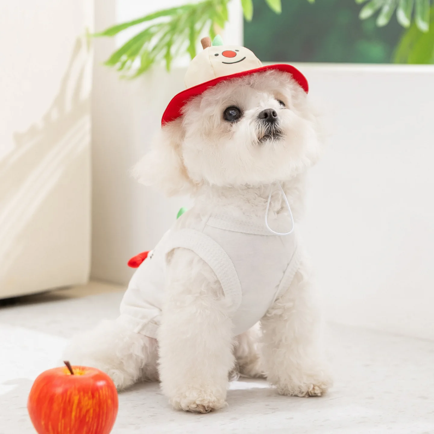 Camiseta sin mangas con sombrero para perros Teddy – ropa verano - imagen 2