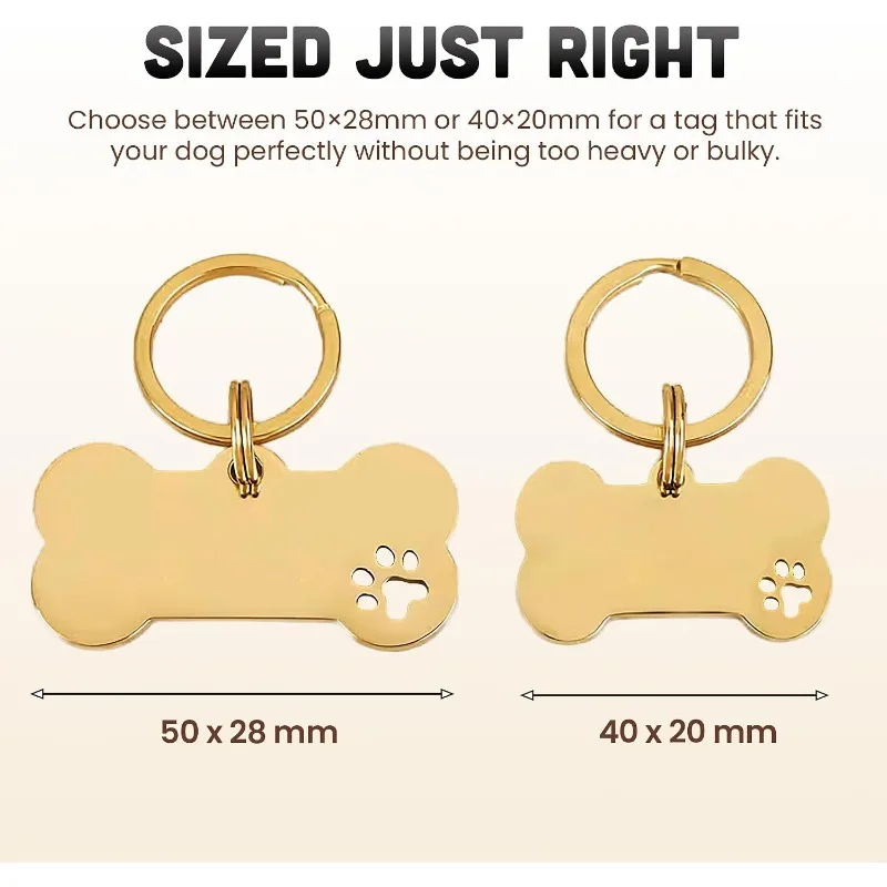 Placa identificación personalizada para perros y gatos – Grabado gratis - imagen 4