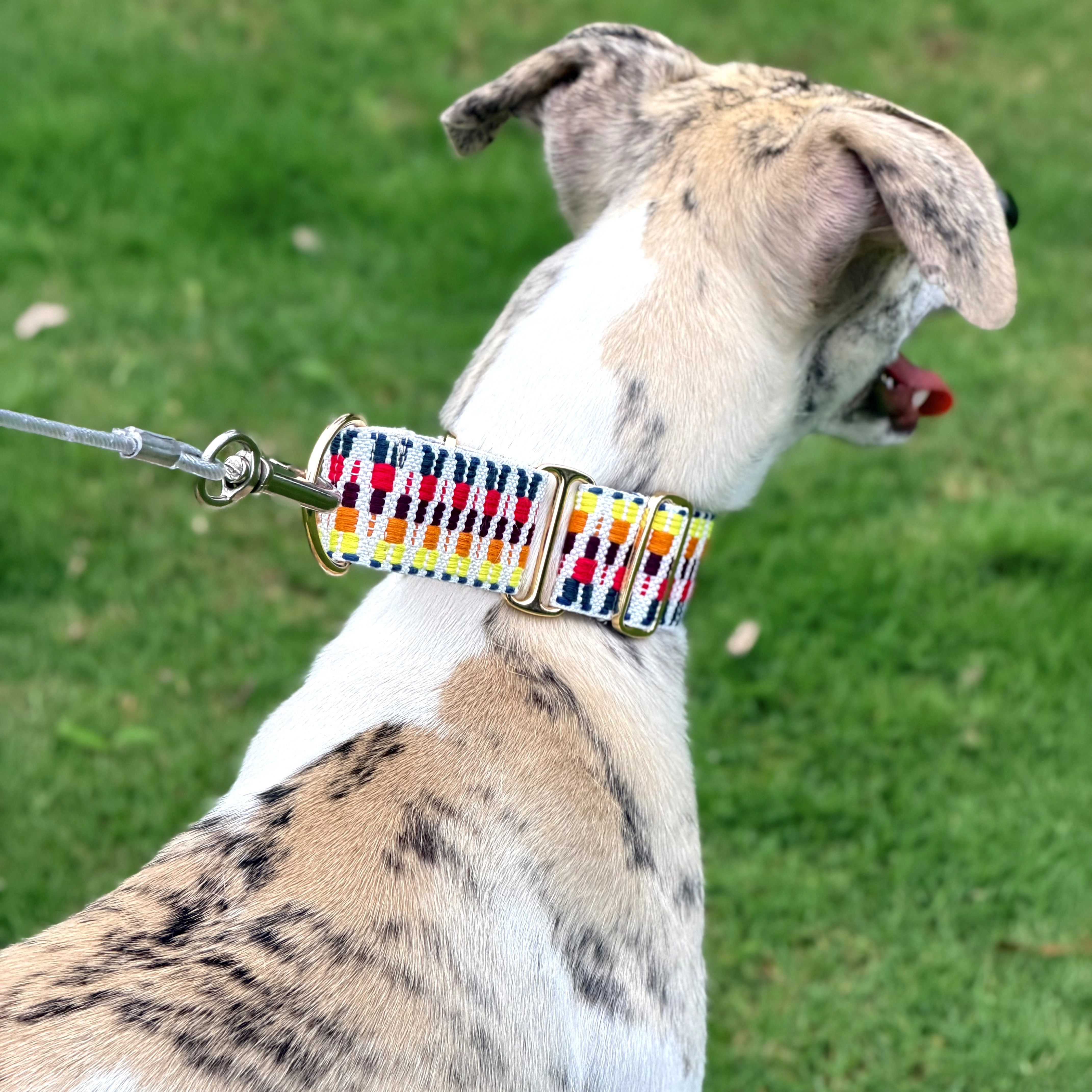 Collar martingala suave para galgos y whippets, ajustable - imagen 5